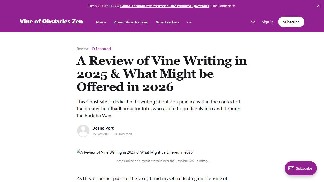 A Review of Vine Writing in 2025 & What Might be Offered in 2026